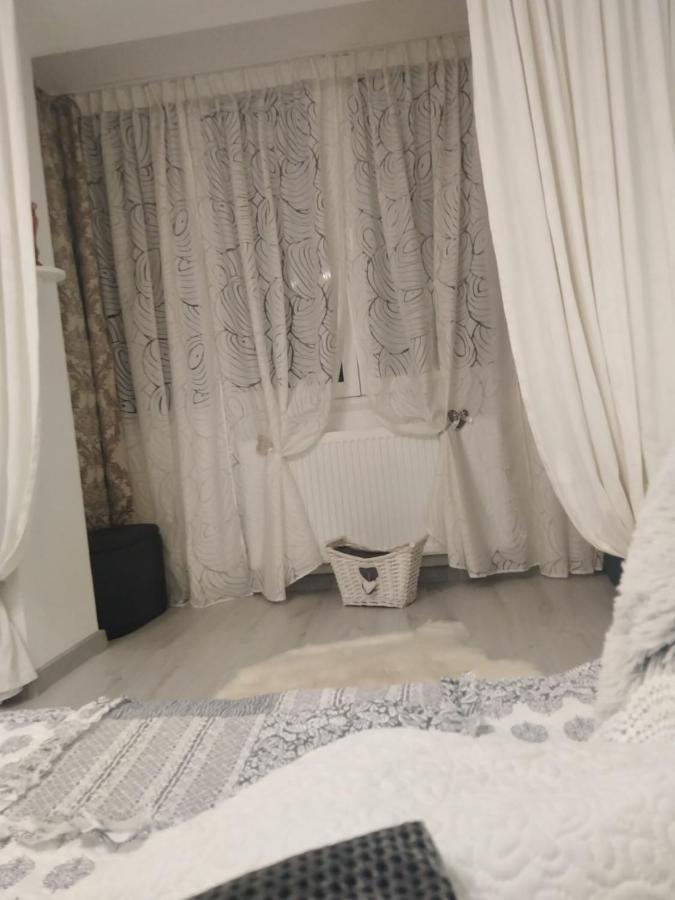 La Monica 2 - Cazare Straja - Lupeni - Retezat - Parang Daire Dış mekan fotoğraf