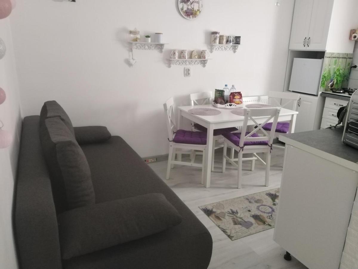 La Monica 2 - Cazare Straja - Lupeni - Retezat - Parang Daire Dış mekan fotoğraf